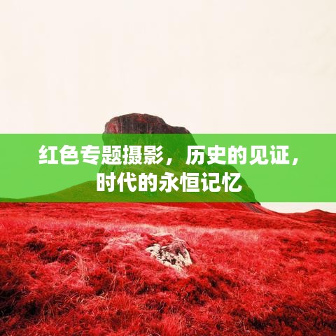 飛奇鉤貨 第2頁