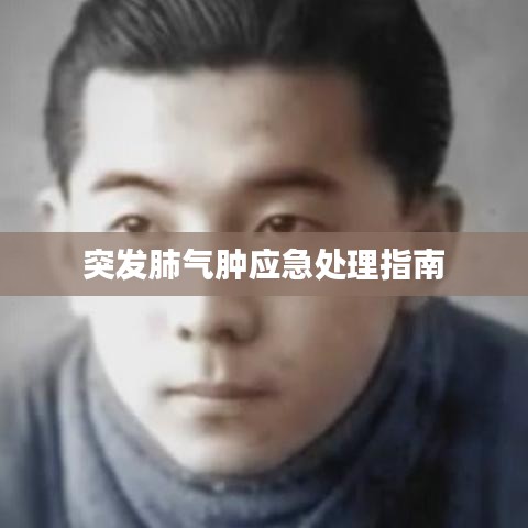 突發(fā)肺氣腫應(yīng)急處理指南