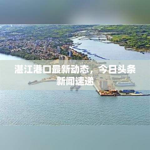 湛江港口最新動態(tài)，今日頭條新聞速遞