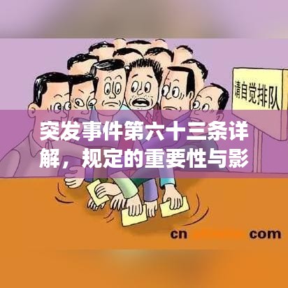 突發(fā)事件第六十三條詳解，規(guī)定的重要性與影響