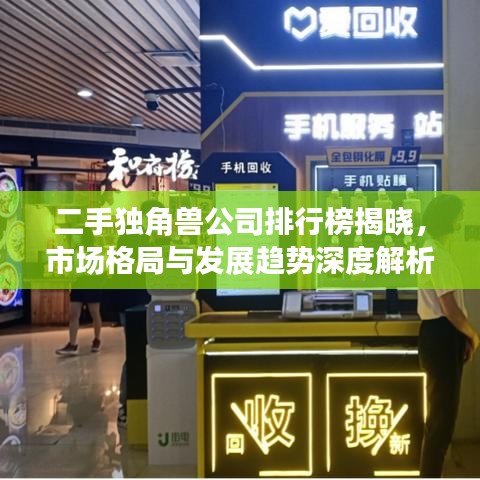 二手獨角獸公司排行榜揭曉，市場格局與發(fā)展趨勢深度解析