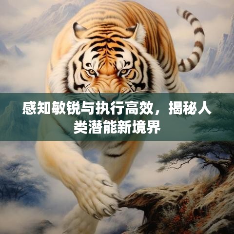 感知敏銳與執(zhí)行高效，揭秘人類潛能新境界