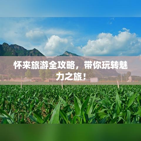 正聲雅音 第2頁