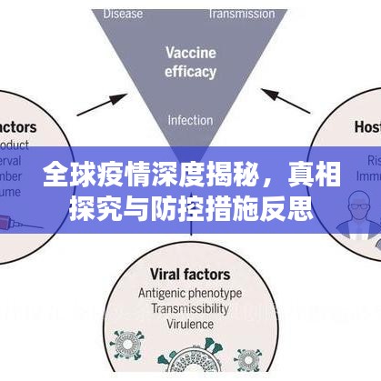 全球疫情深度揭秘，真相探究與防控措施反思