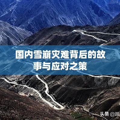 盡善盡美 第2頁(yè)