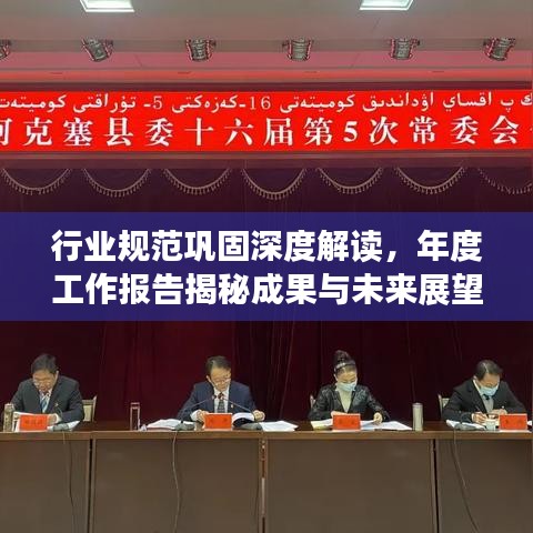 行業(yè)規(guī)范鞏固深度解讀，年度工作報告揭秘成果與未來展望