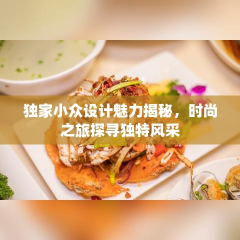 獨(dú)家小眾設(shè)計(jì)魅力揭秘，時(shí)尚之旅探尋獨(dú)特風(fēng)采