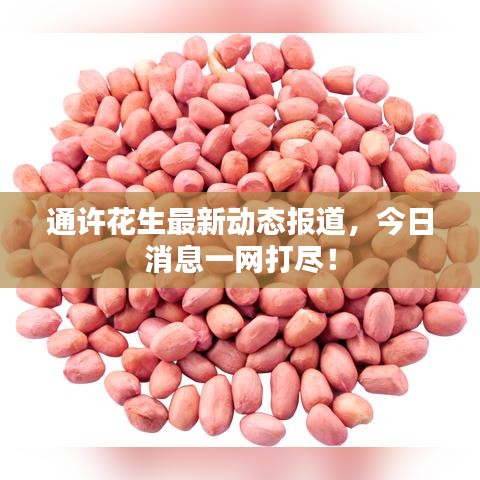 通許花生最新動態(tài)報道，今日消息一網(wǎng)打盡！