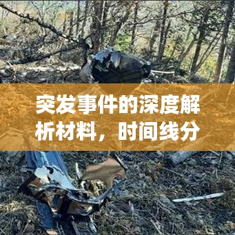 突發(fā)事件的深度解析材料，時(shí)間線分析揭秘事件真相