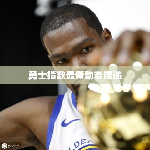 勇士指數(shù)最新動態(tài)速遞