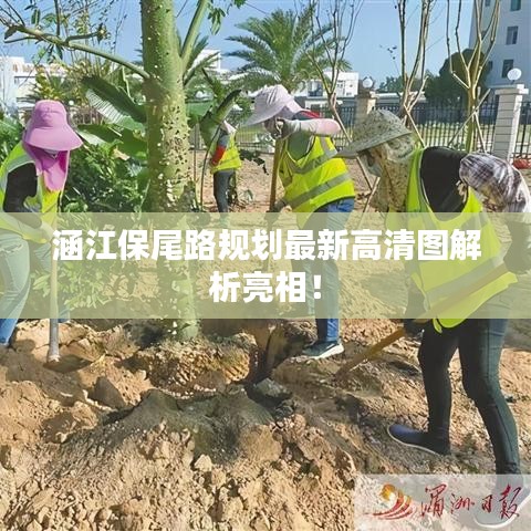 涵江保尾路規(guī)劃最新高清圖解析亮相！