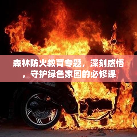 森林防火教育專題，深刻感悟，守護(hù)綠色家園的必修課