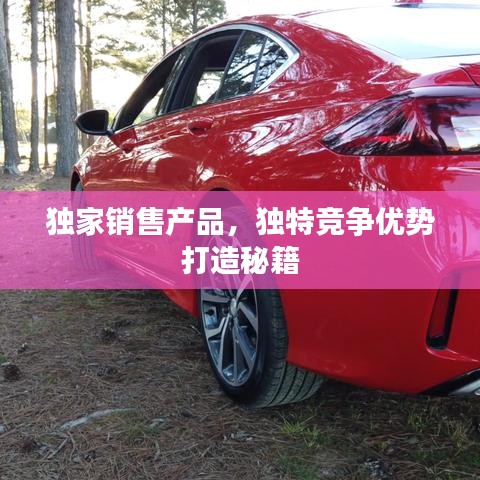 獨家銷售產(chǎn)品，獨特競爭優(yōu)勢打造秘籍