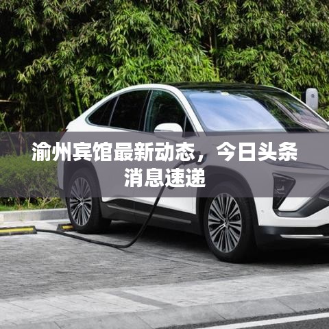 渝州賓館最新動態(tài)，今日頭條消息速遞