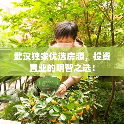 武漢獨(dú)家優(yōu)選房源，投資置業(yè)的明智之選！