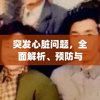 突發(fā)心臟問題，全面解析、預(yù)防與應(yīng)急處理方案