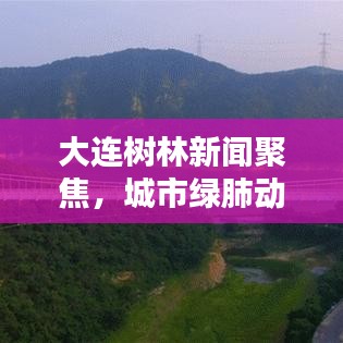 大連樹林新聞聚焦，城市綠肺動(dòng)態(tài)更新