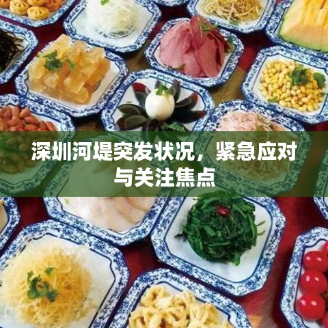 深圳河堤突發(fā)狀況，緊急應(yīng)對(duì)與關(guān)注焦點(diǎn)