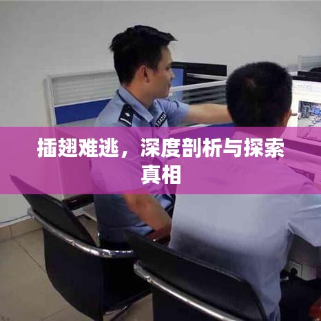 插翅難逃，深度剖析與探索真相