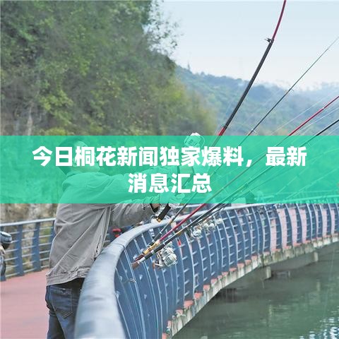 今日桐花新聞獨家爆料，最新消息匯總