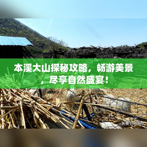 本溪大山探秘攻略，暢游美景，盡享自然盛宴！