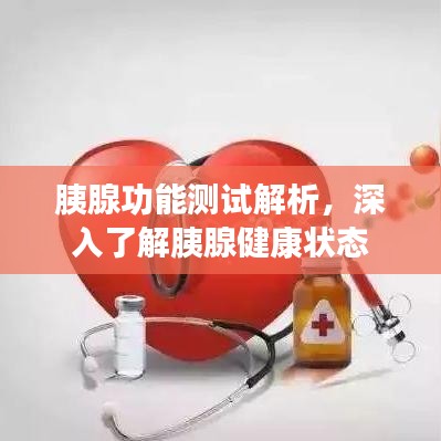 胰腺功能測試解析，深入了解胰腺健康狀態(tài)