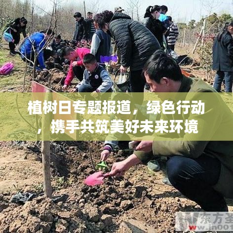 植樹日專題報道，綠色行動，攜手共筑美好未來環(huán)境