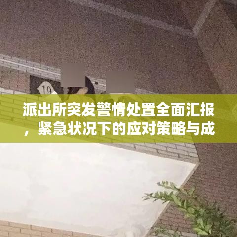 派出所突發(fā)警情處置全面匯報(bào)，緊急狀況下的應(yīng)對(duì)策略與成效分析