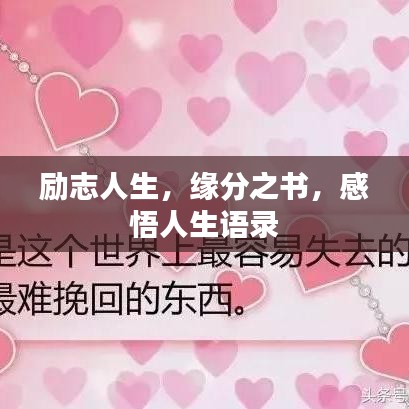 勵志人生，緣分之書，感悟人生語錄