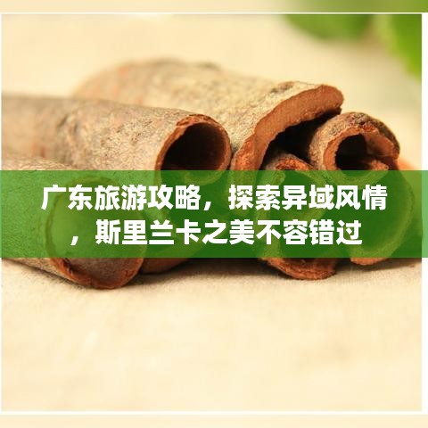 廣東旅游攻略，探索異域風(fēng)情，斯里蘭卡之美不容錯(cuò)過(guò)