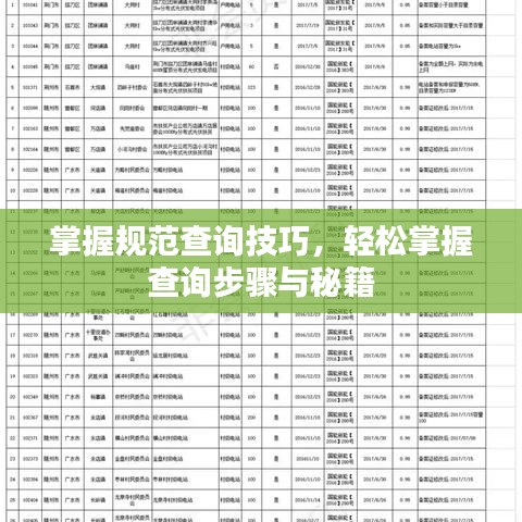 掌握規(guī)范查詢技巧，輕松掌握查詢步驟與秘籍