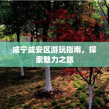 咸寧咸安區(qū)游玩指南，探索魅力之旅