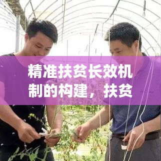 精準(zhǔn)扶貧長效機(jī)制的構(gòu)建，扶貧項(xiàng)目庫建設(shè)的實(shí)踐與探索