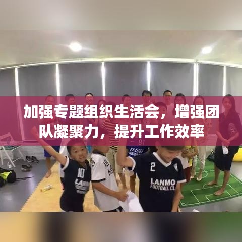 加強專題組織生活會，增強團隊凝聚力，提升工作效率