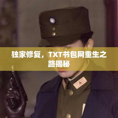 獨家修復(fù)，TXT書包網(wǎng)重生之路揭秘