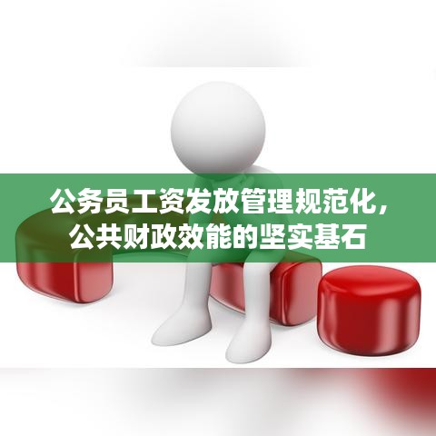 公務(wù)員工資發(fā)放管理規(guī)范化，公共財政效能的堅實基石