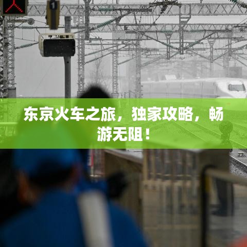 東京火車之旅，獨家攻略，暢游無阻！