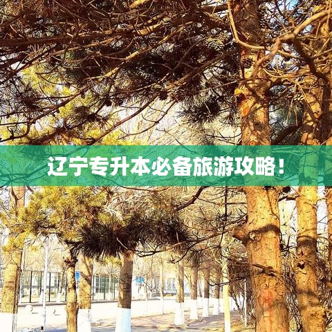 遼寧專升本必備旅游攻略！