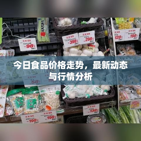 今日食品價格走勢，最新動態(tài)與行情分析