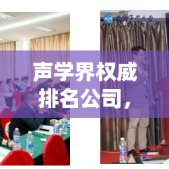 聲學(xué)界權(quán)威排名公司，引領(lǐng)聲學(xué)技術(shù)潮流的先鋒領(lǐng)航者