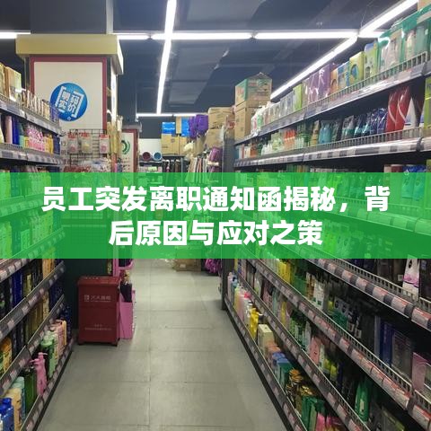 員工突發(fā)離職通知函揭秘，背后原因與應對之策