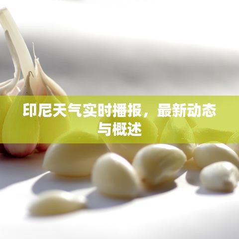 印尼天氣實(shí)時(shí)播報(bào)，最新動(dòng)態(tài)與概述