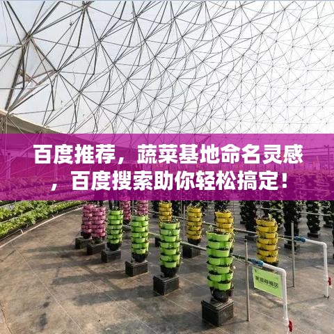 百度推薦，蔬菜基地命名靈感，百度搜索助你輕松搞定！