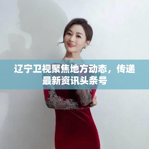 遼寧衛(wèi)視聚焦地方動(dòng)態(tài)，傳遞最新資訊頭條號