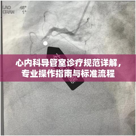 心內(nèi)科導管室診療規(guī)范詳解，專業(yè)操作指南與標準流程