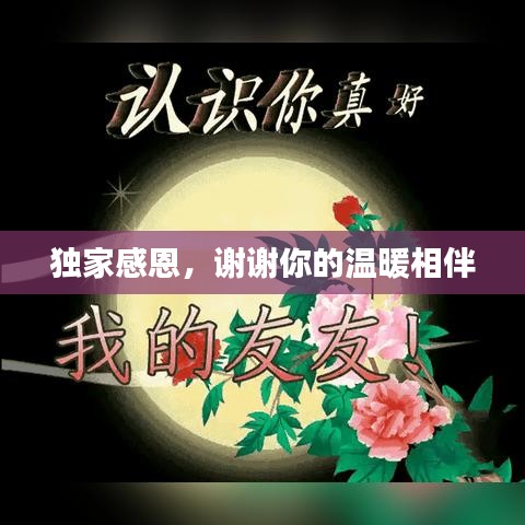 獨家感恩，謝謝你的溫暖相伴