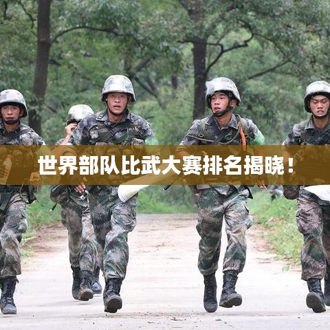 世界部隊(duì)比武大賽排名揭曉！