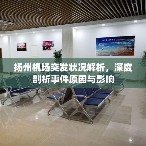 揚(yáng)州機(jī)場(chǎng)突發(fā)狀況解析，深度剖析事件原因與影響