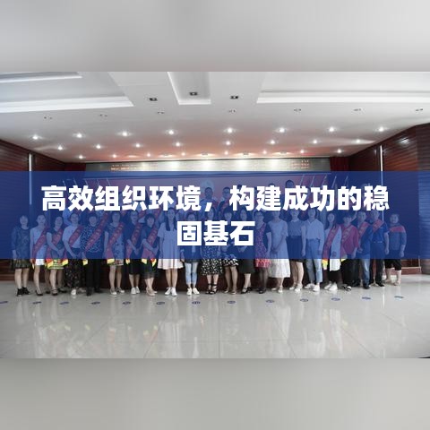 高效組織環(huán)境，構(gòu)建成功的穩(wěn)固基石
