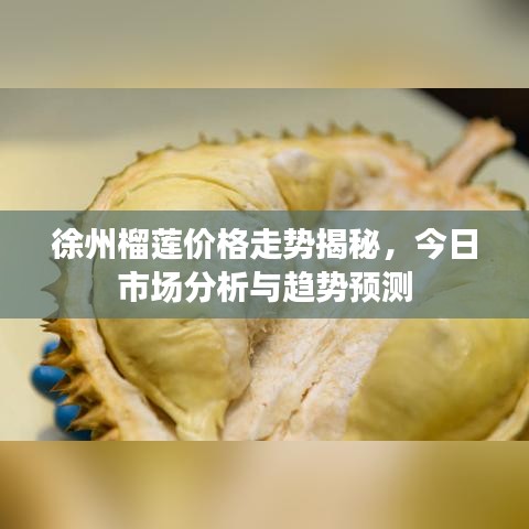 徐州榴蓮價(jià)格走勢(shì)揭秘，今日市場(chǎng)分析與趨勢(shì)預(yù)測(cè)